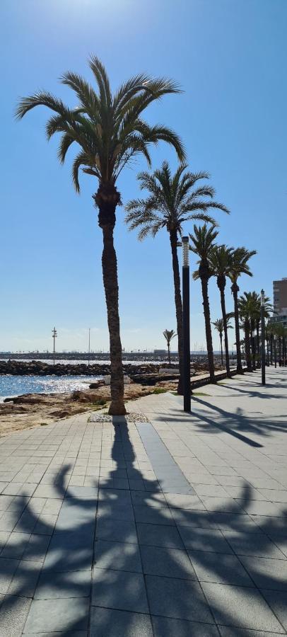 Apartamento Sofia La Mata La Mata  Exterior foto