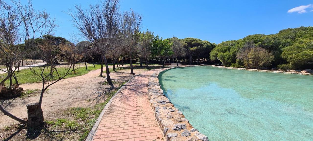 Apartamento Sofia La Mata La Mata  Exterior foto