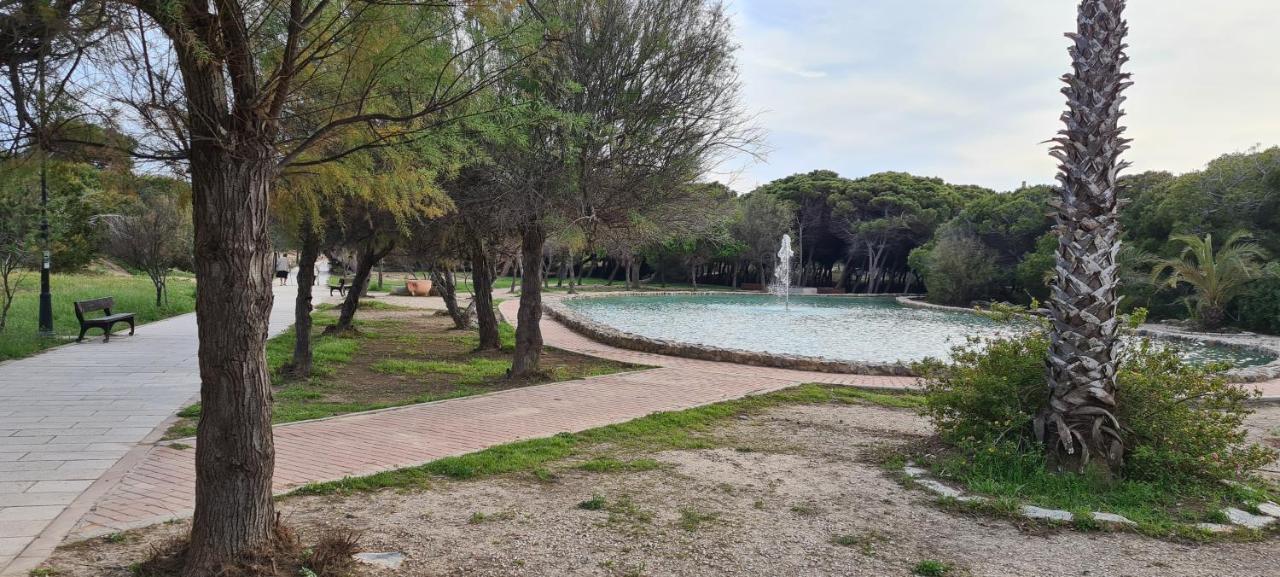 Apartamento Sofia La Mata La Mata  Exterior foto